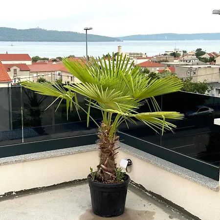 Rosa - Sea View & Private Parking *