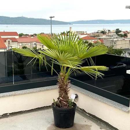 Rosa - Sea View & Private Parking *